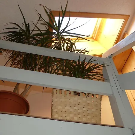Ferienhaus Holzl Fuegen